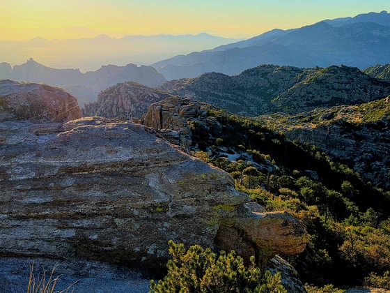 Coronado National Forest 