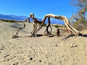 Death Valley National Park 