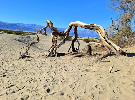 Death Valley National Park 