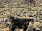 Tikaboo Valley Region