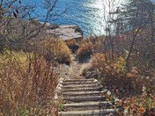 Acadia National Park