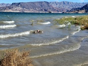 Lake Mead National Recreation Area 