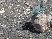 Wupatki National Monument