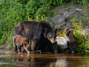 Great Smoky Mountains National Park