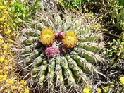 Cabrillo National Monument