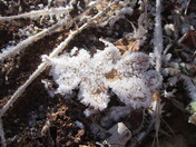 Grand Canyon National Park