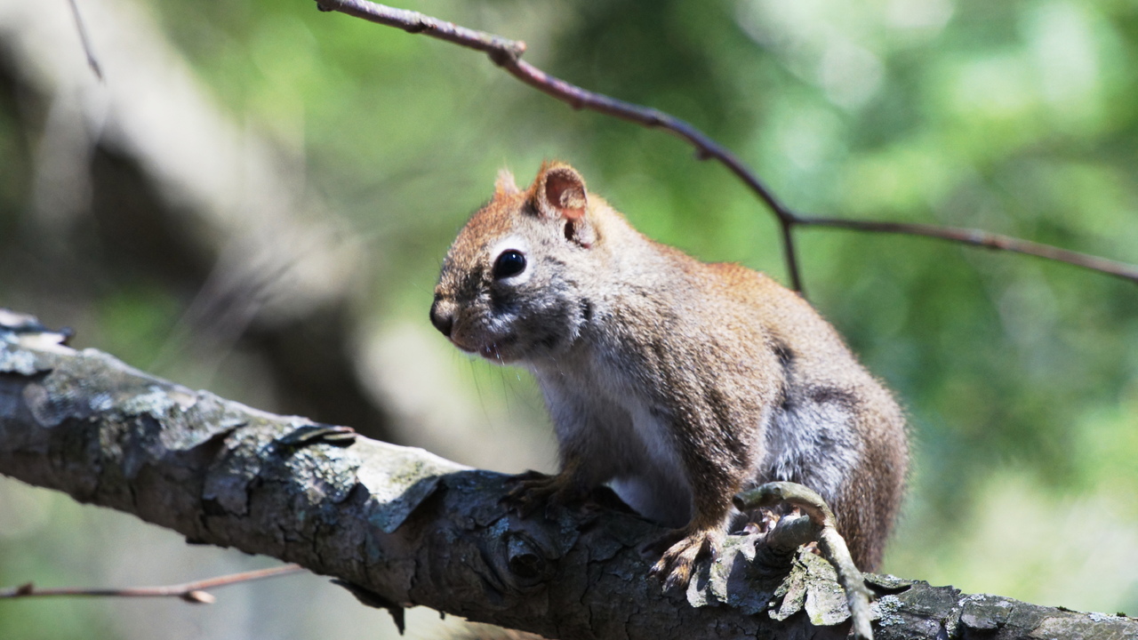Cutie with XL fingers.