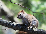 Cutie with XL fingers.