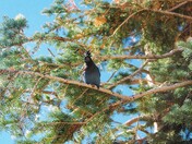 Rocky Mountains National Park