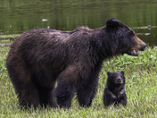 Admiralty Island National Monument