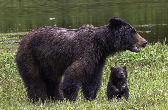 Admiralty Island National Monument