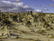 The Bisti/De-Na-Zin Wilderness