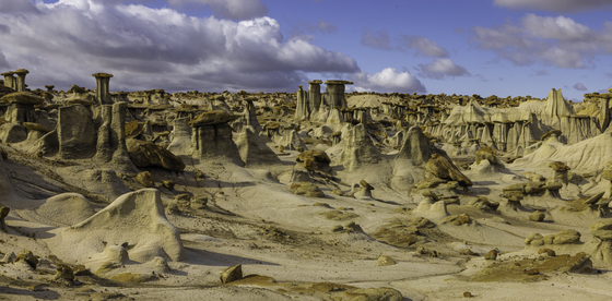 The Bisti/De-Na-Zin Wilderness