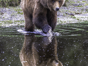 Admiralty Island National Monument