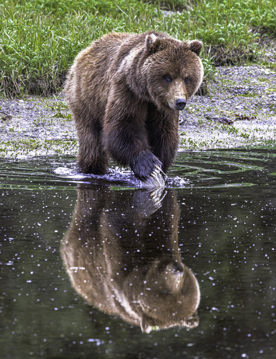 Admiralty Island National Monument