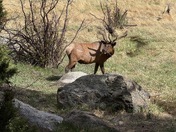 Rocky Mountain National Park