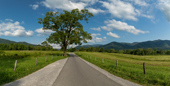 Great Smoky Mountains National Park