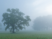 Great Smoky Mountains National Park