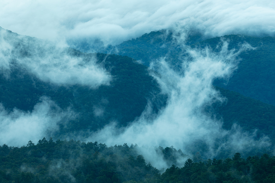 Great Smoky Mountains National Park
