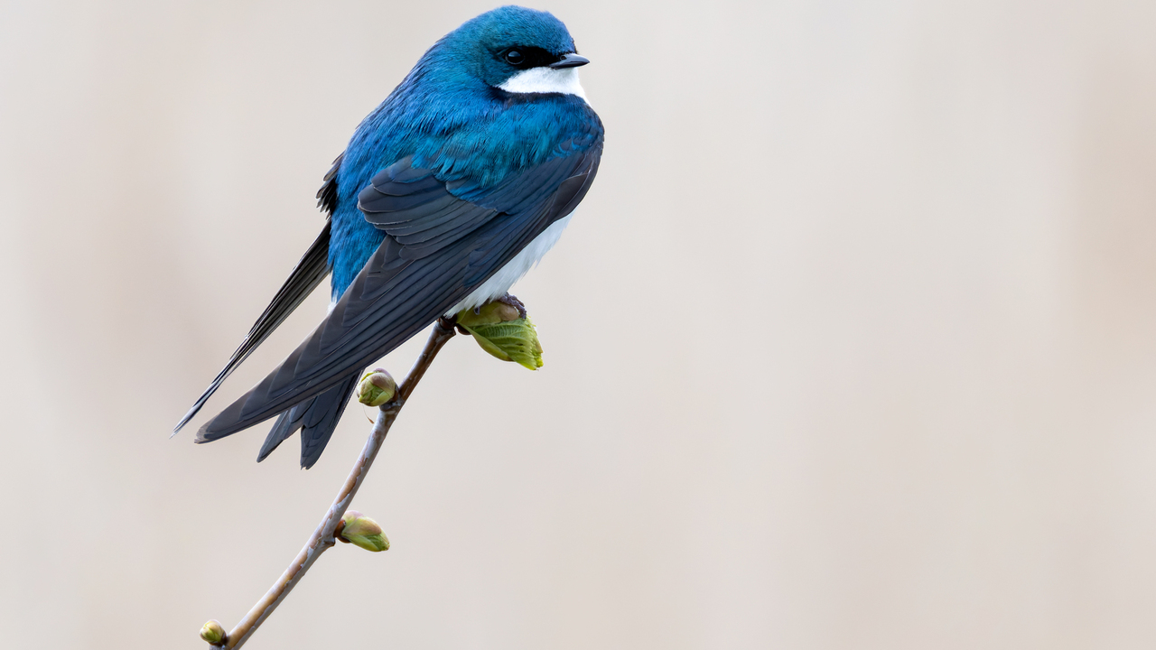 Perfect pose and light