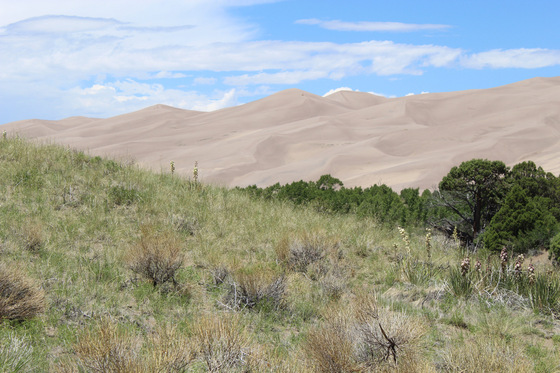 Great Sand Dunes National Park & Preserve