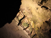 Carlsbad Caverns National Park