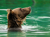Lake Clark National Park and Preserve