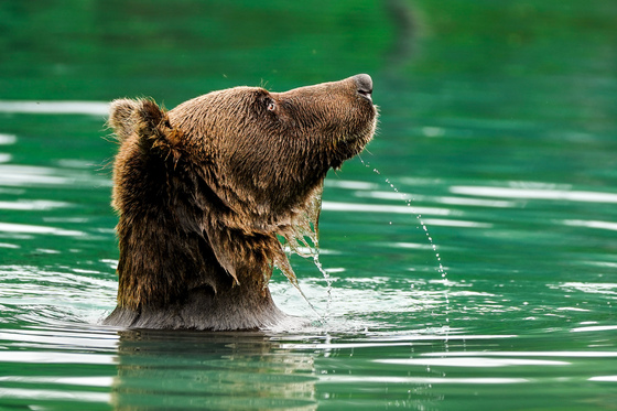 Lake Clark National Park and Preserve