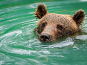 Lake Clark National Park and Preserve