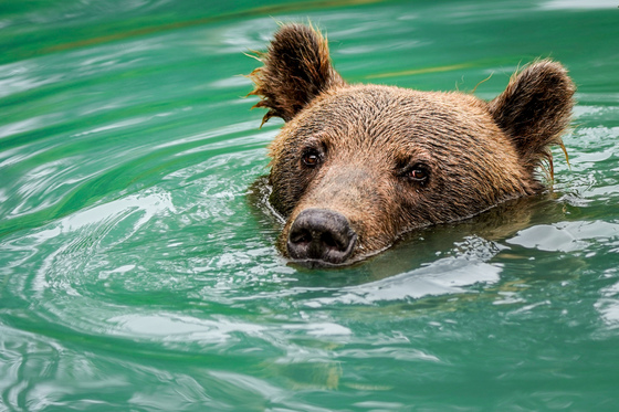 Lake Clark National Park and Preserve