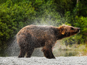 Lake Clark National Park and Preserve