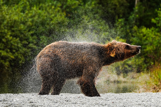 Lake Clark National Park and Preserve