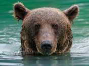 Lake Clark National Park and Preserve