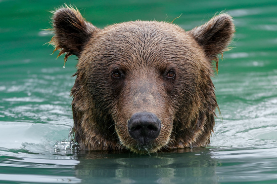 Lake Clark National Park and Preserve