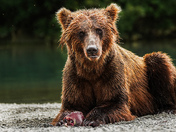 Lake Clark National Park and Preserve
