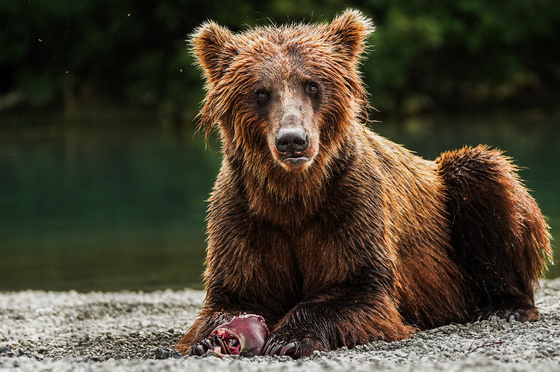 Lake Clark National Park and Preserve