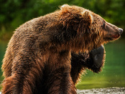 Lake Clark National Park & Preserve