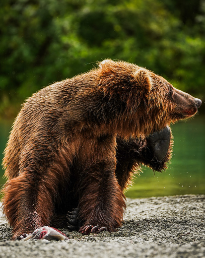 Lake Clark National Park & Preserve