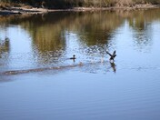St Marks National Refuge