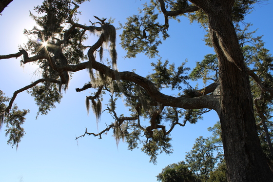 St. Marks National Wildlife Refuge
