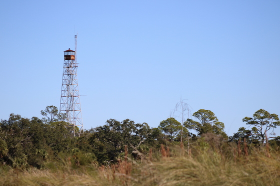 St. Marks National Wildlife Refuge