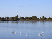 St. Marks National Wildlife Refuge
