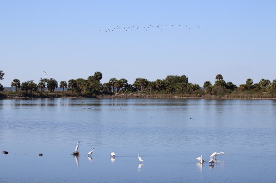 St. Marks National Wildlife Refuge