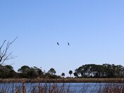 St. Marks National Wildlife Refuge