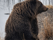 Scratch that Scratch 