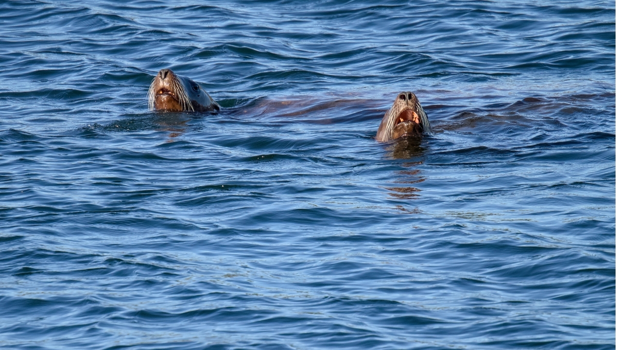 On The Waterfront XXIII