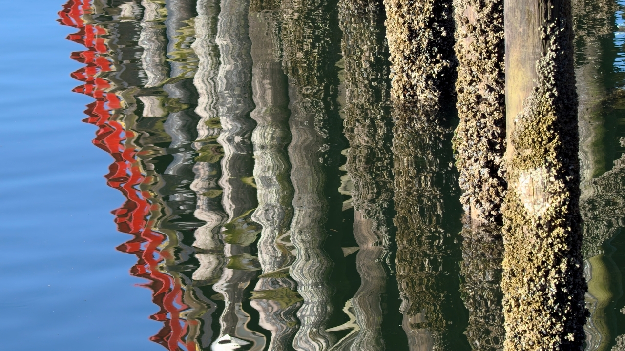 On The Waterfront VII