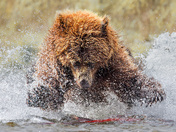 Katmai National Park and Preserve