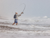 Santa Monica Mountains National Recreation Area