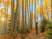 Grand Mesa, Uncompahgre, and Gunnison National Forest